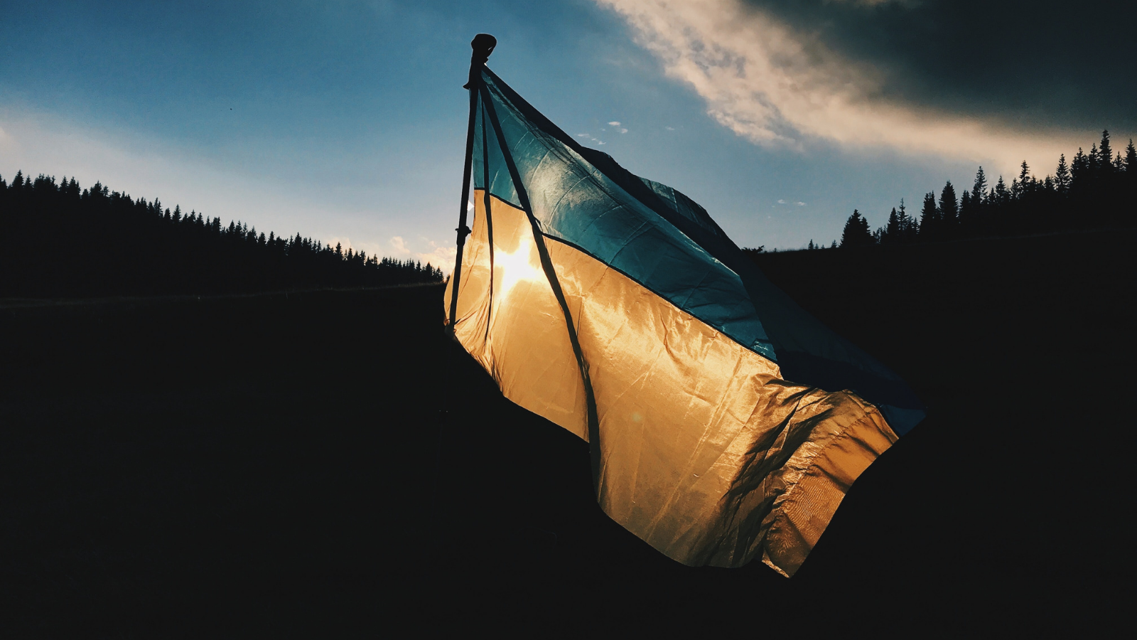 Image of Ukraine flag